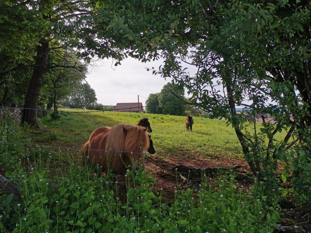 Gite Du Colombier Le Fied Eksteriør billede
